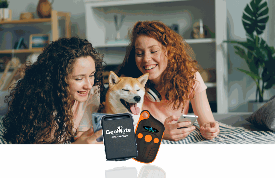 GPS tracking for pets with live updates and secure location monitoring.